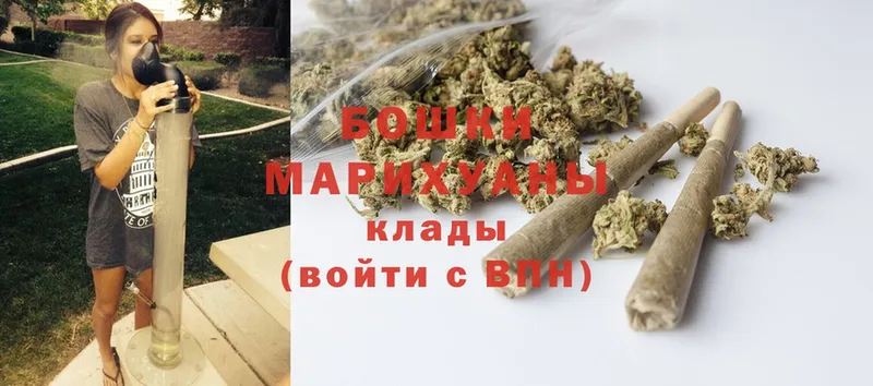 Бошки марихуана SATIVA & INDICA  где купить наркотик  hydra вход  Алатырь 